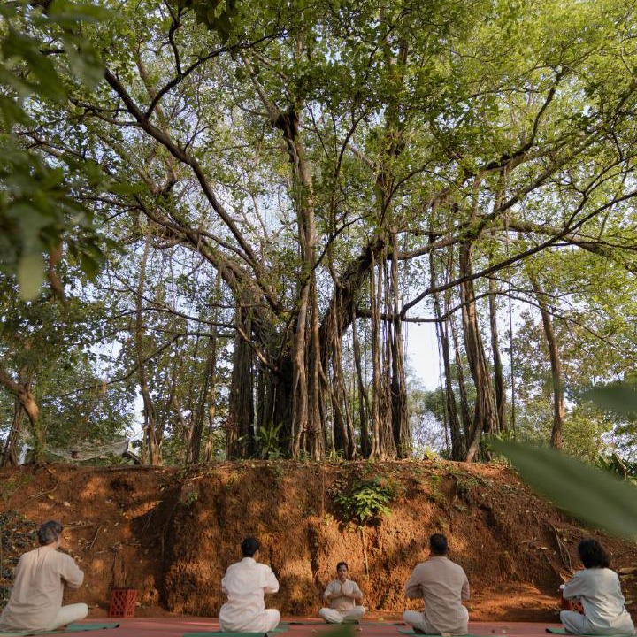 Photo of Others in Ella