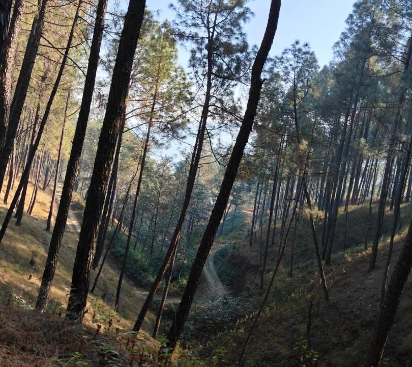 Photo of Others in Bageshwar
