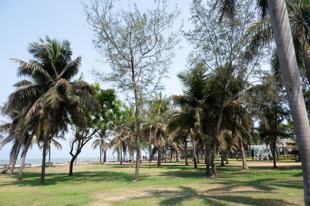 Photo of Others in Mahabalipuram Beach