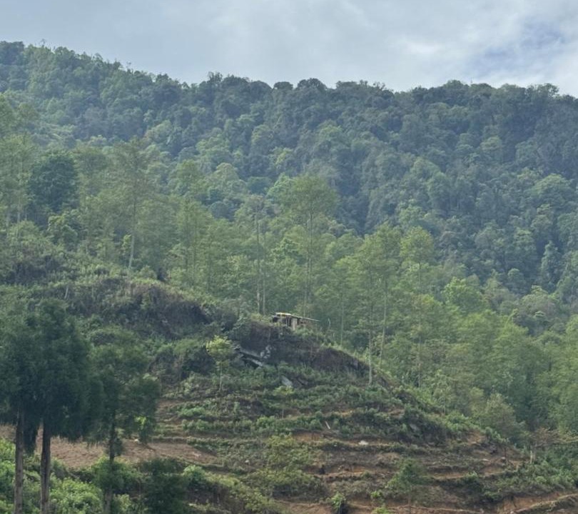 Photo of Others in Bomdila