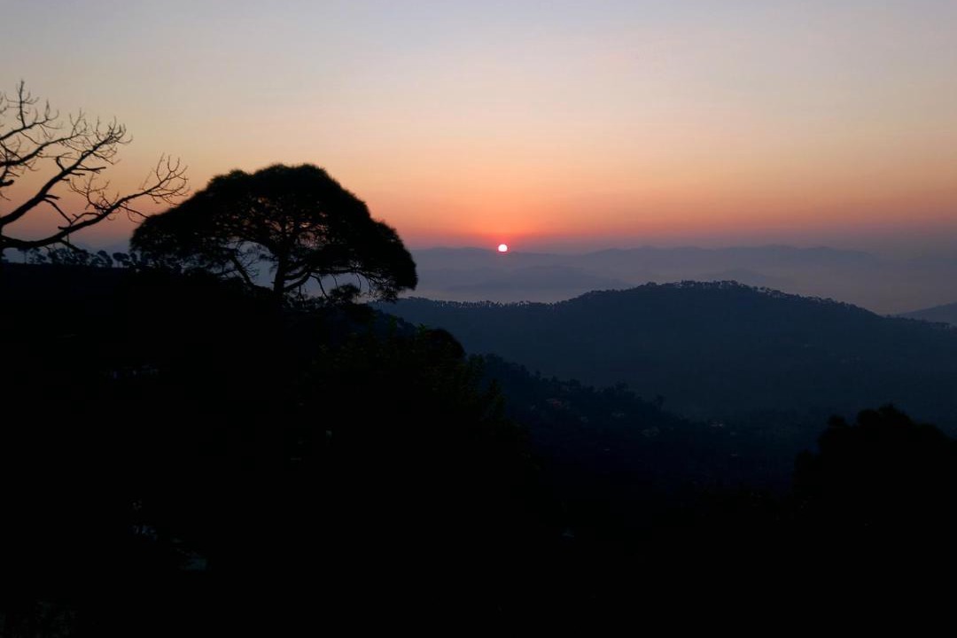 Photo of Others in Almora