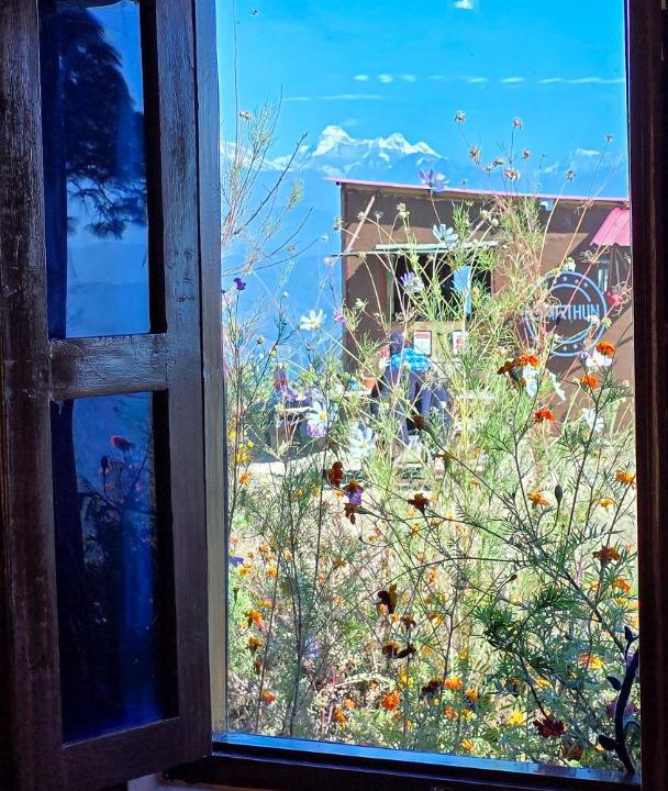 Photo of Others in Almora