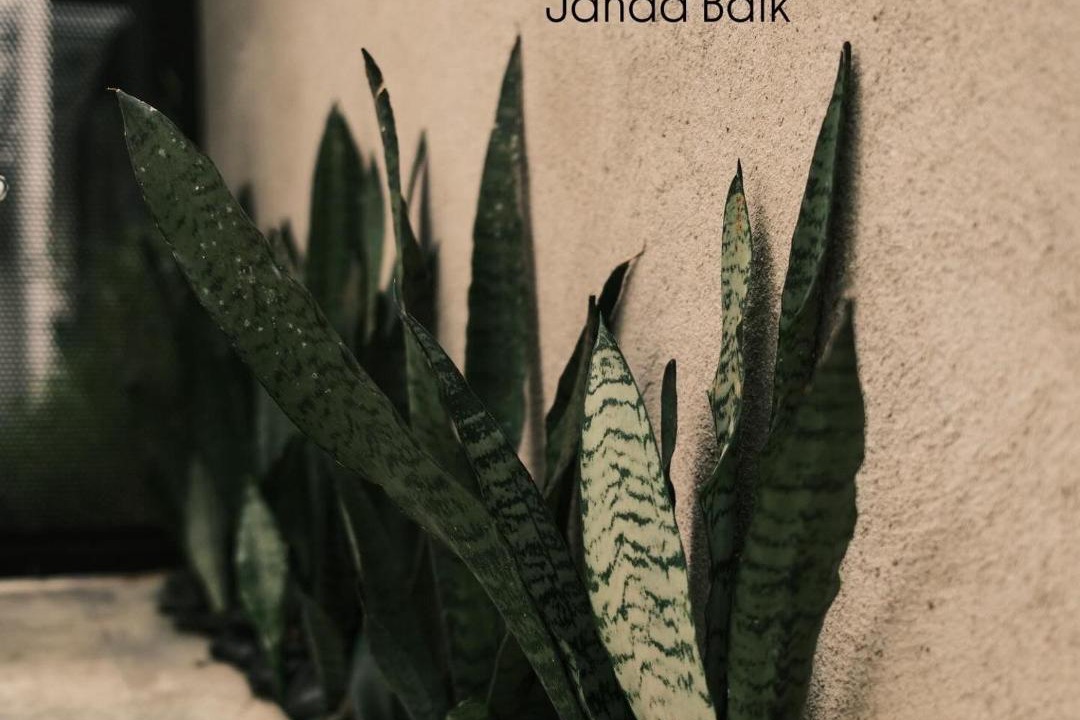 Photo of Others in Janda Baik