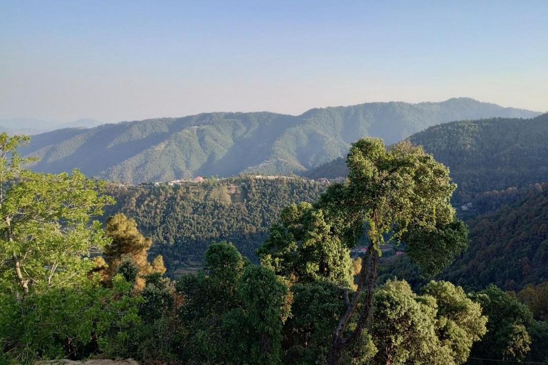 Photo of Others in Shimla