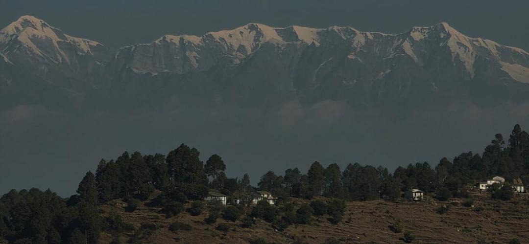 Photo of Others in Almora