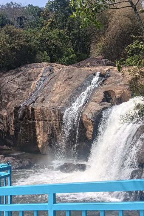 Photo of Others in Rajakkad