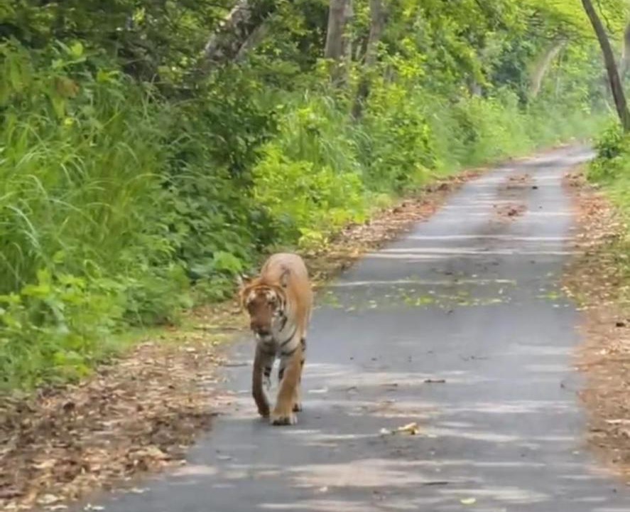 Photo of Others in Puranpur
