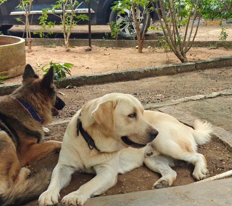 Photo of Others in Tiruvettipuram
