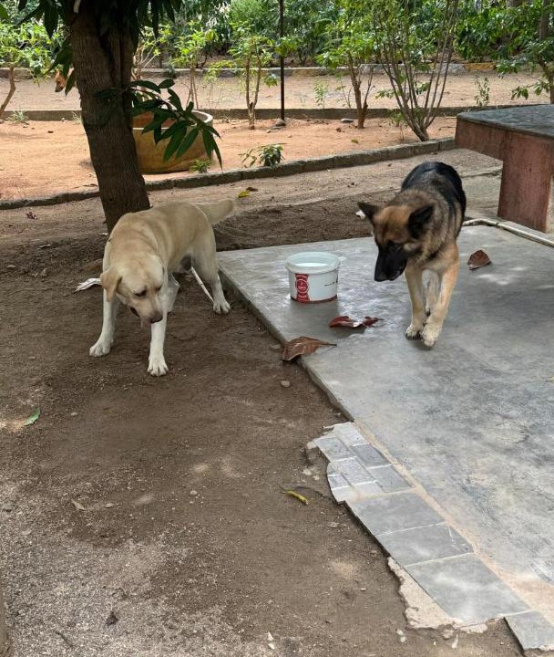 Photo of Others in Tiruvettipuram