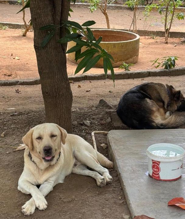 Photo of Others in Tiruvettipuram