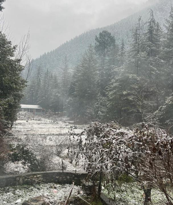 Photo of Others in Kasol