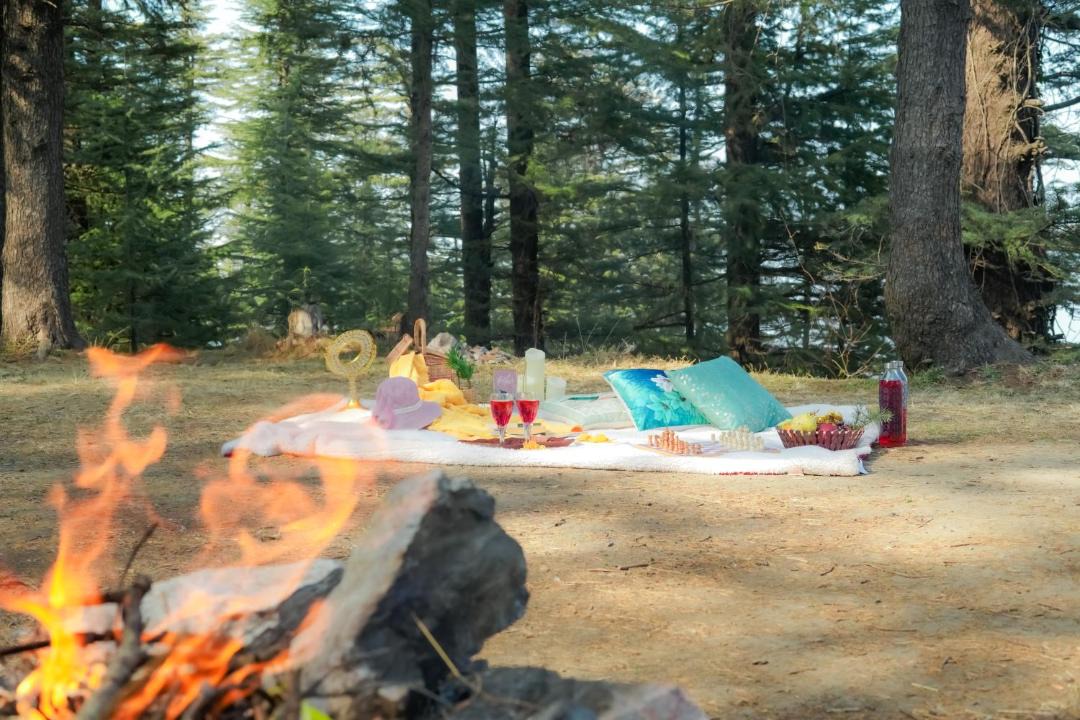 Photo of Others in Naldehra