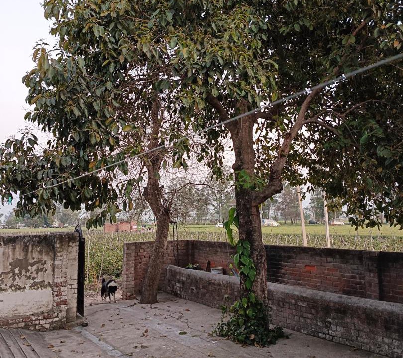 Photo of Others in Patiala