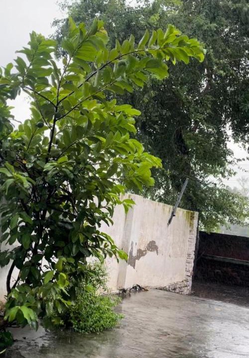Photo of Others in Patiala