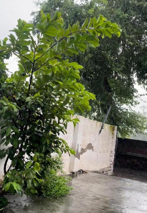 Photo of Others in Patiala
