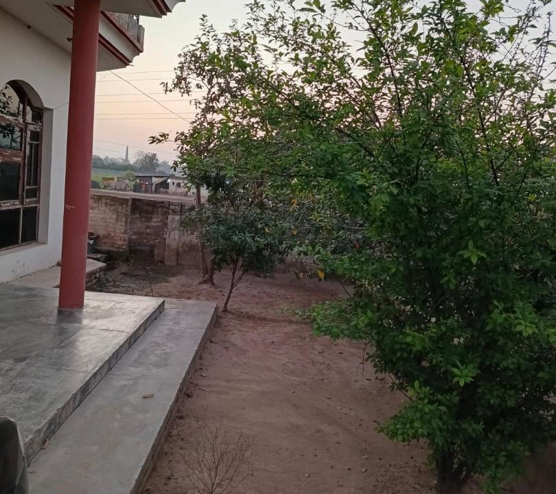 Photo of Others in Patiala