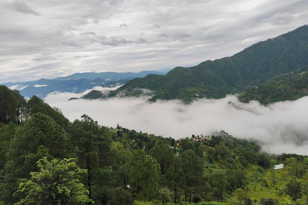 Photo of Others in Pauri