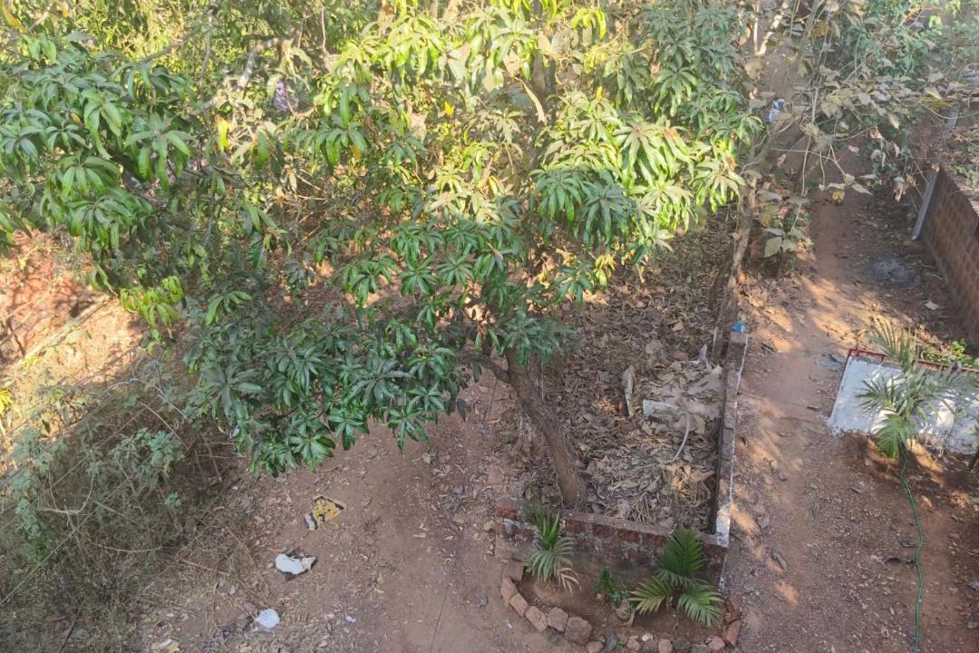 Photo of Others in Mandrem