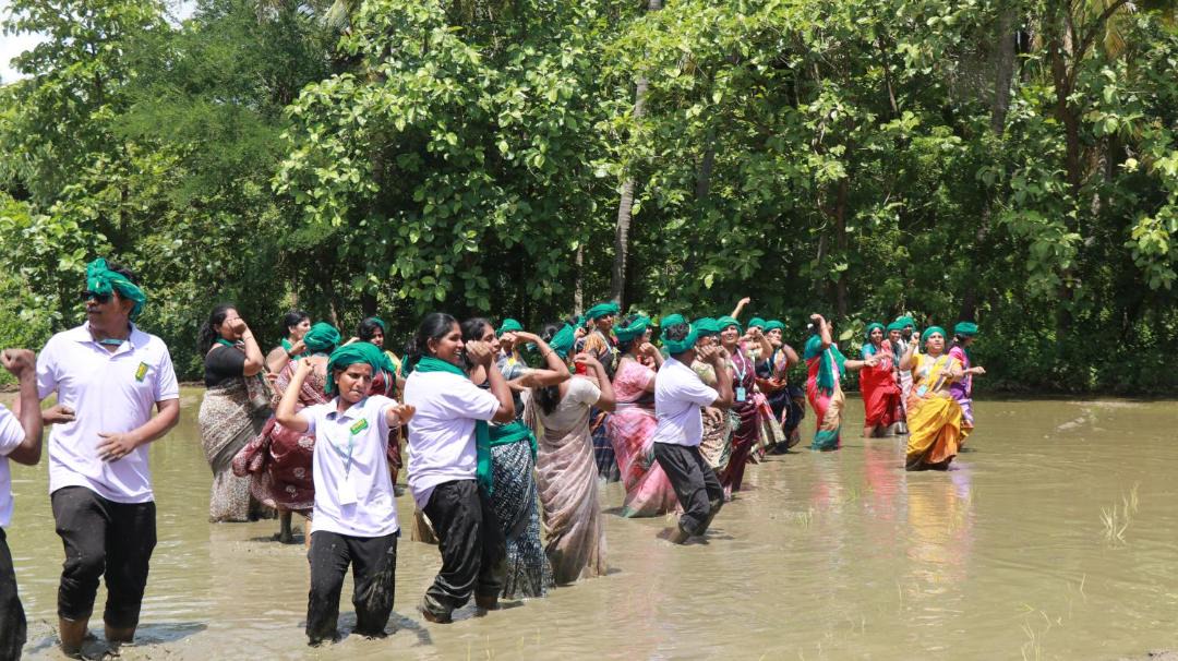 Photo of Others in Thiruthani