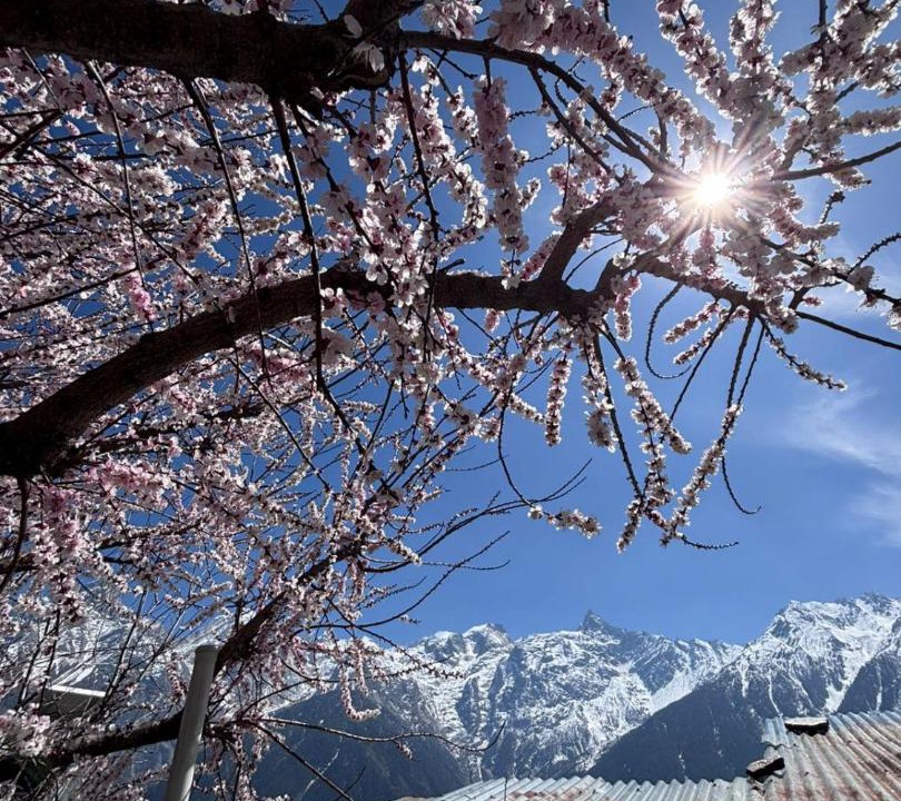 Photo of Others in Kalpa