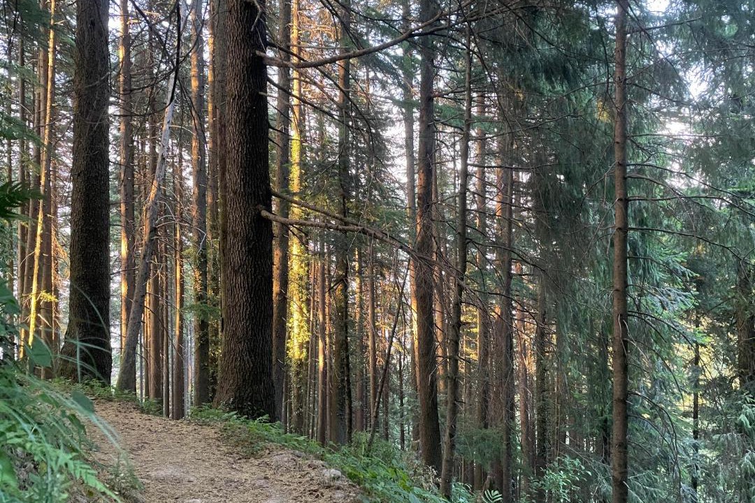 Photo of Others in Dalhousie