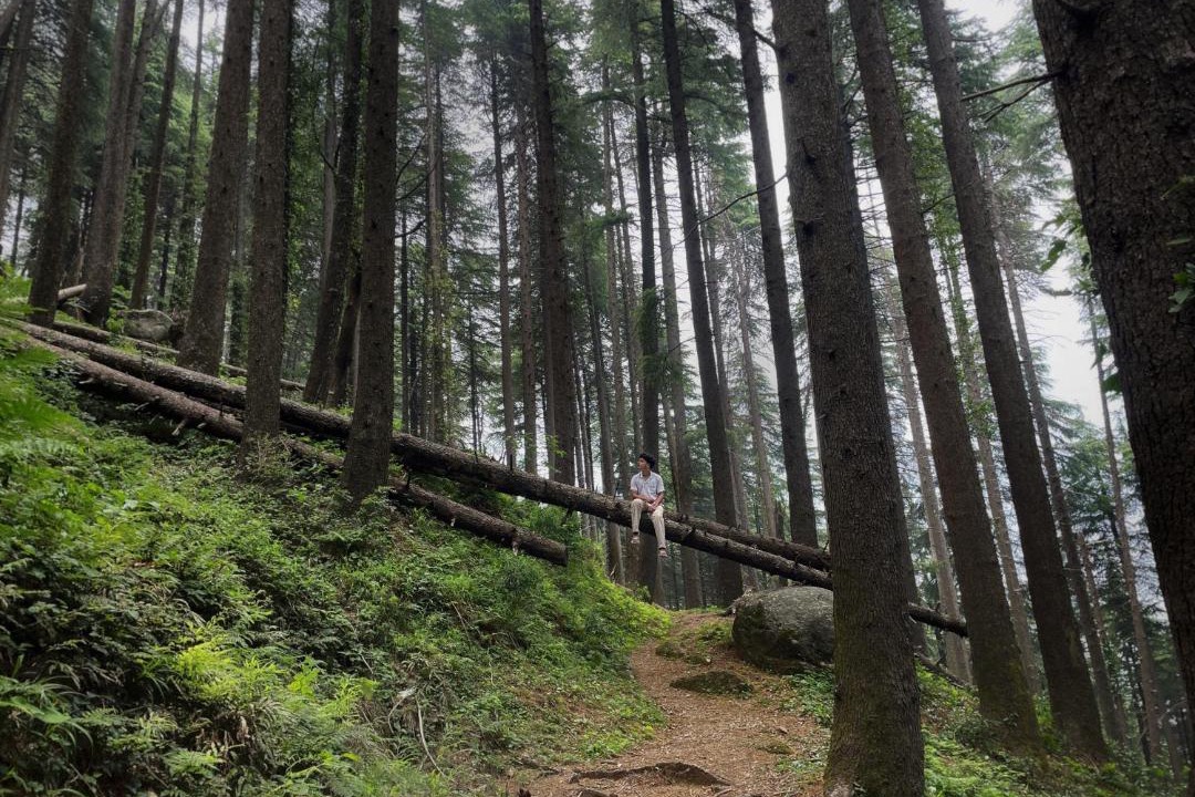 Photo of Others in Dalhousie