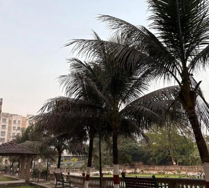 Photo of Others in Kolkata