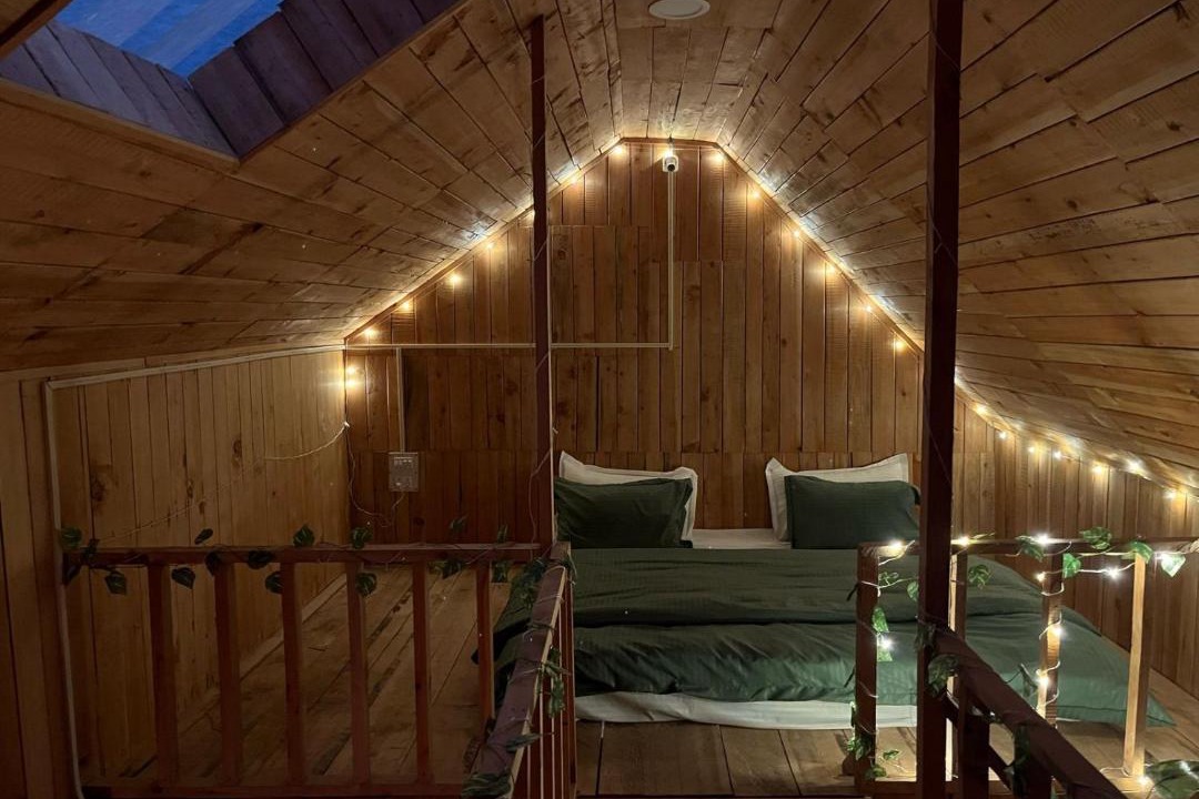 Photo of Bedroom in Jibhi