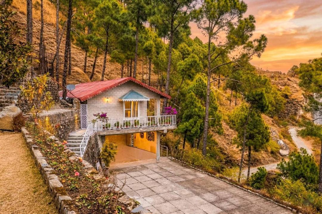 Photo of Others in Kasauli