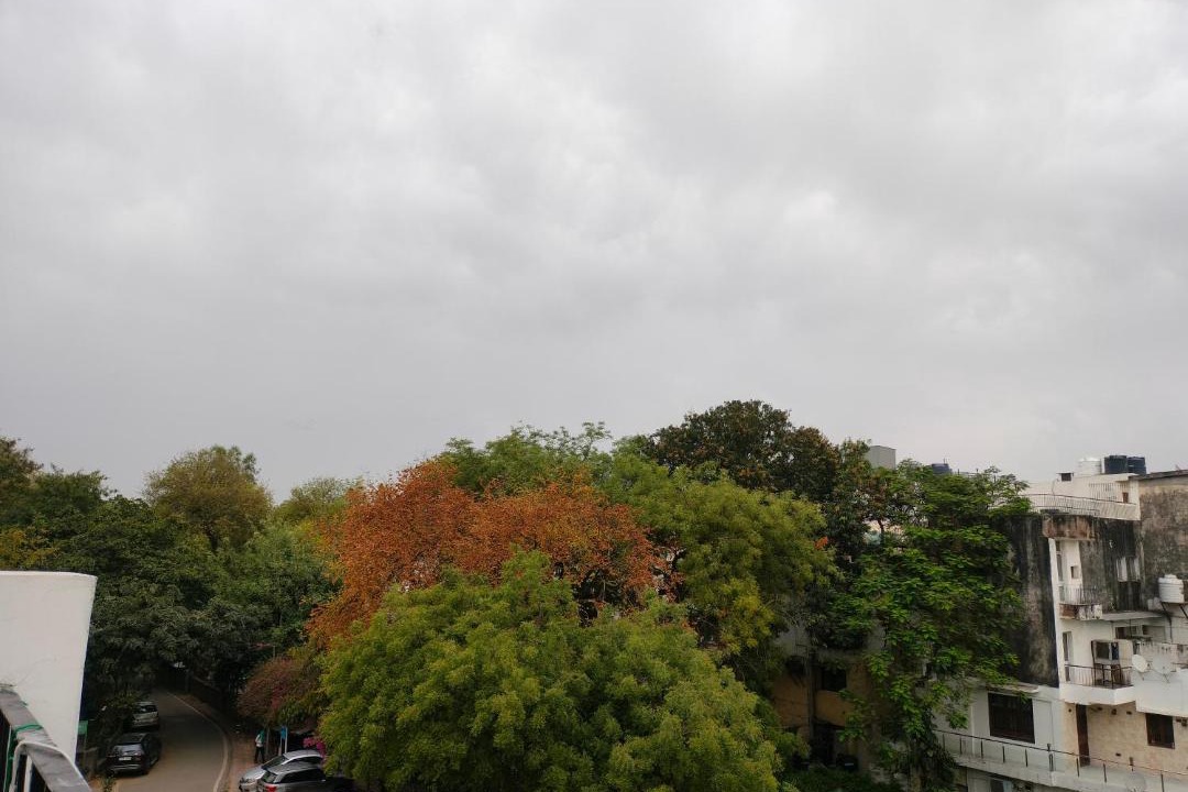Photo of Others in Saket