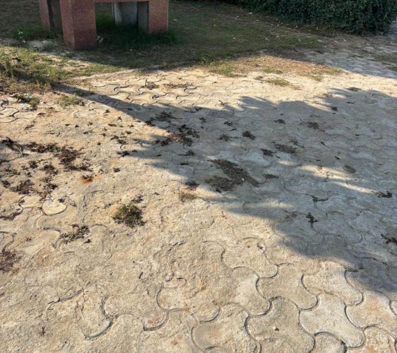 Photo of Others in Gurugram