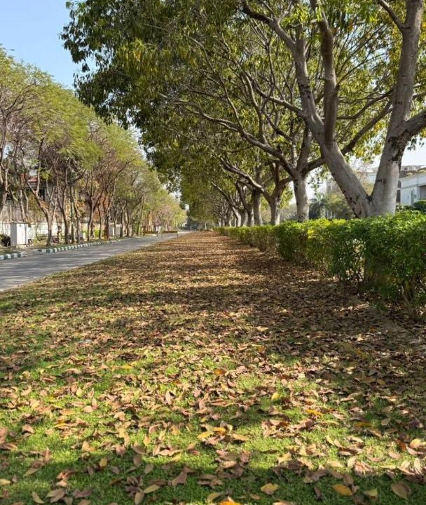 Photo of Outdoor in Jaypee Greens