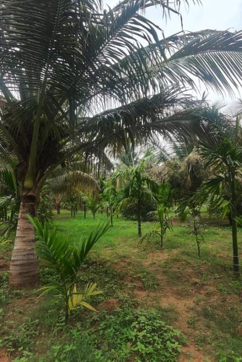 Photo of Others in Kanakapura