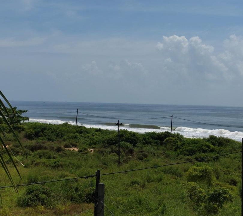 Photo of Others in Kannur