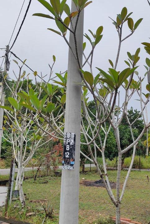 Photo of Outdoor in Kuala Terengganu
