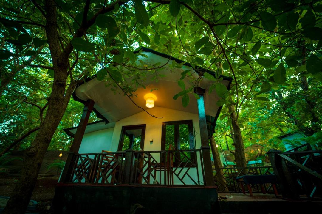 Photo of Others in Palolem