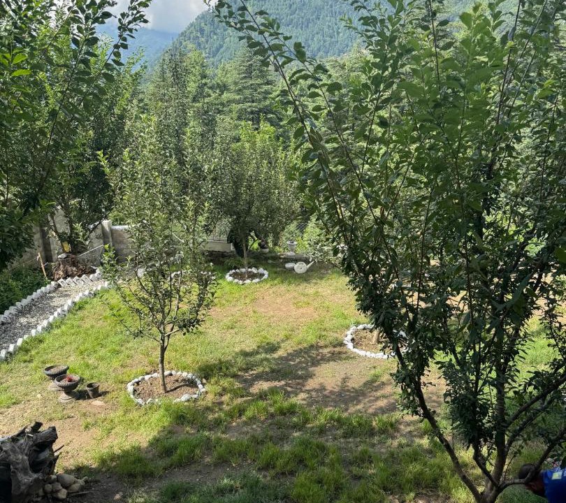 Photo of Others in Manali