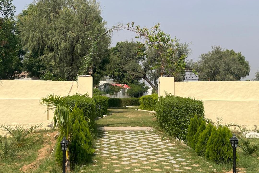 Photo of Others in Shekhawati