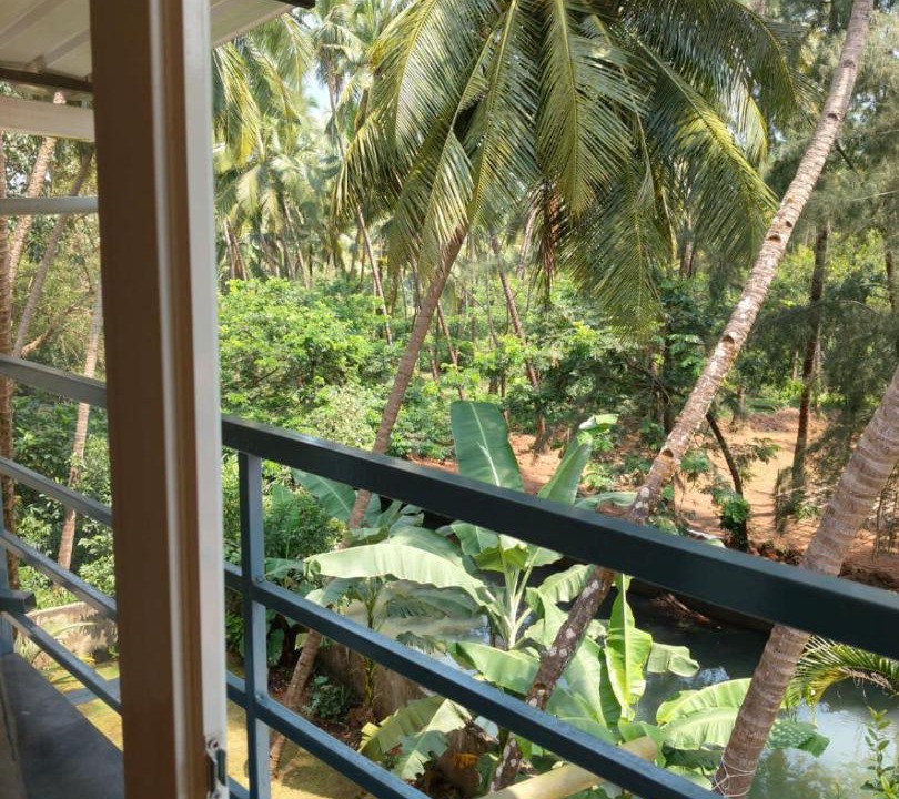 Photo of Others in Agonda