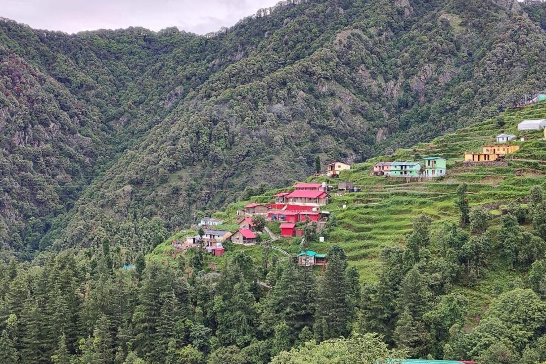 Photo of Others in Dhanaulti
