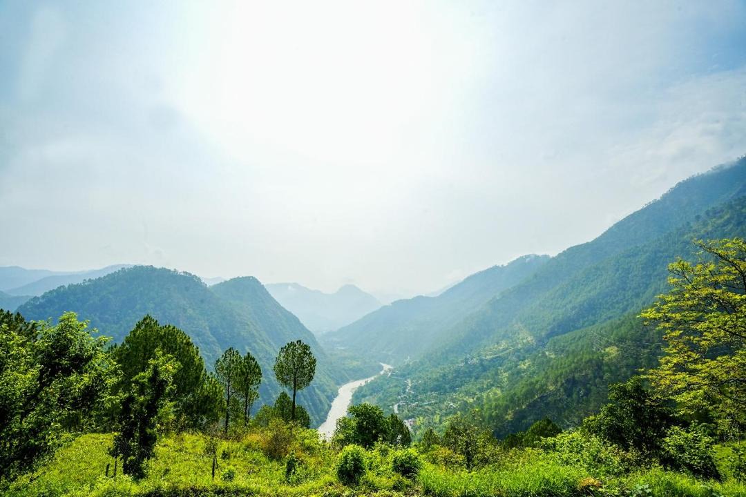 Photo of Others in Shivanandi