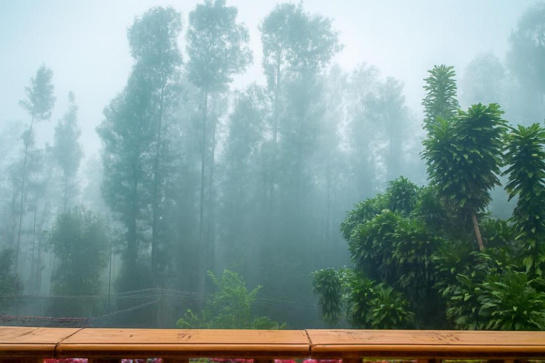 Photo of Others in Yercaud