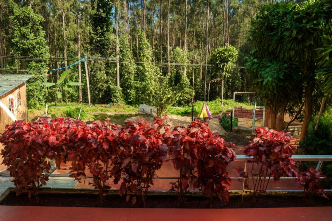Photo of Others in Yercaud