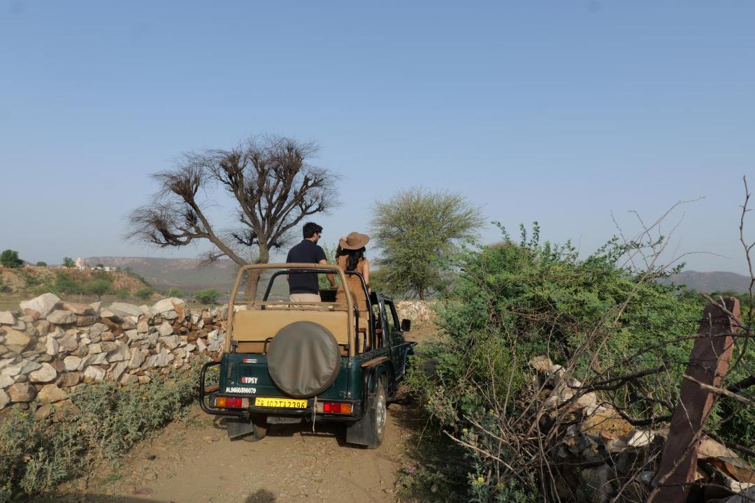Photo of Others in Sariska