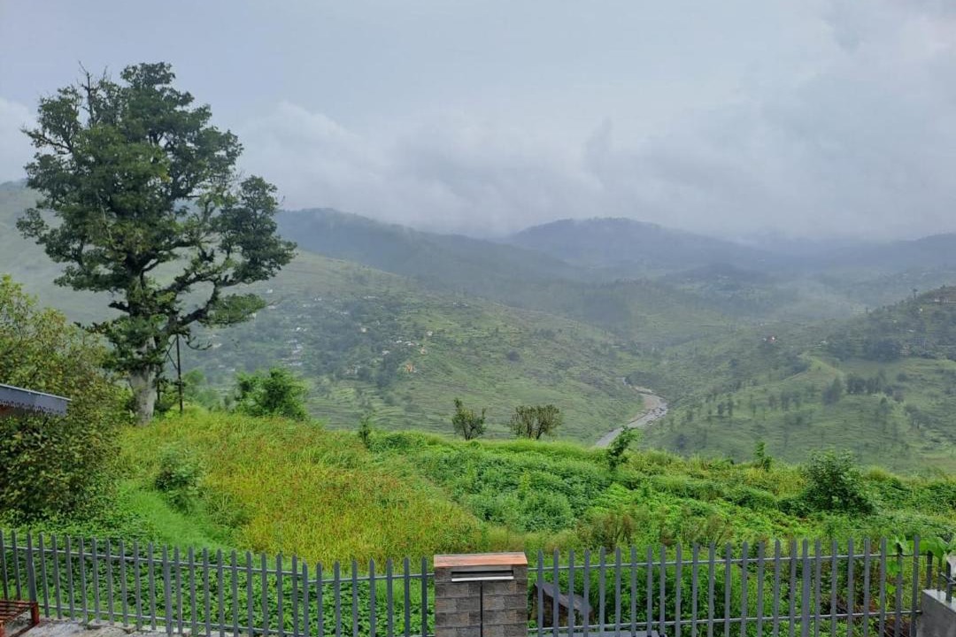 Photo of Others in Almora