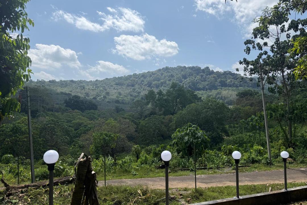 Photo of Others in Irinjalakuda
