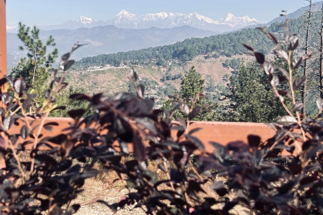 Photo of Others in Almora