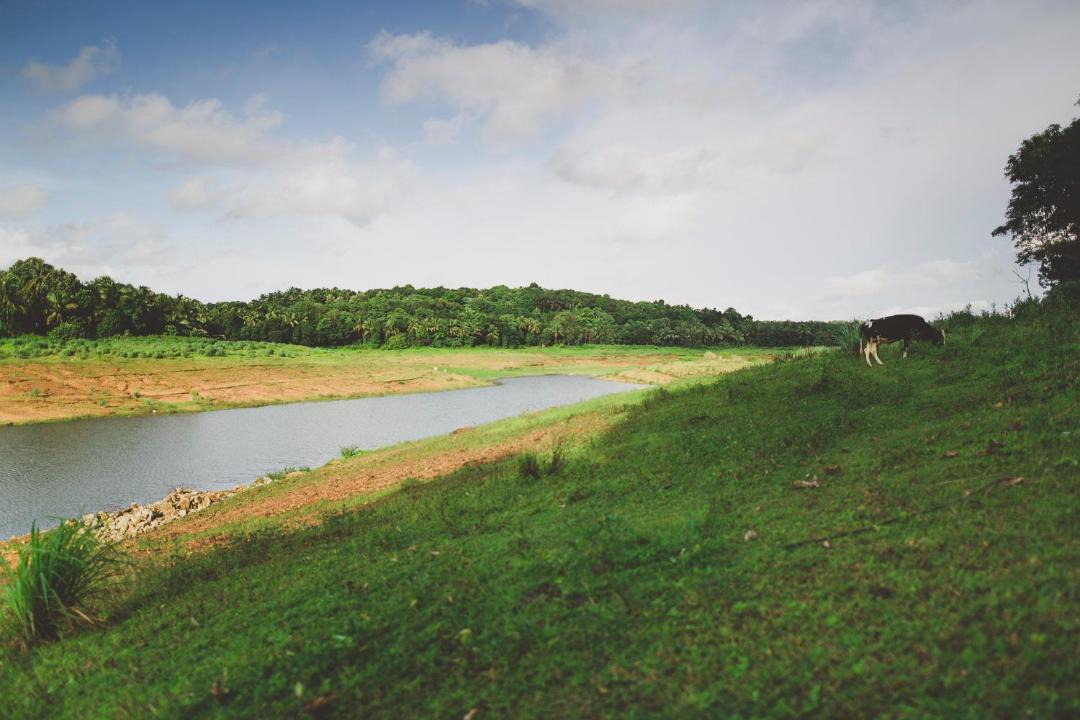 Photo of Outdoor in Wadakanchery