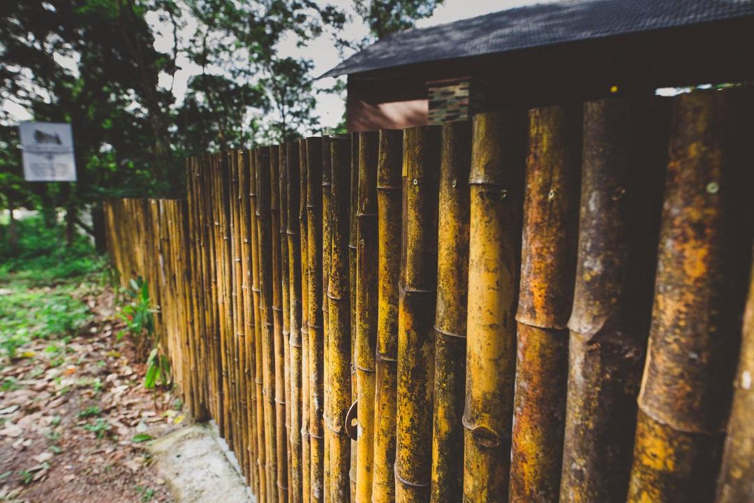 Photo of Buildings in Wadakanchery