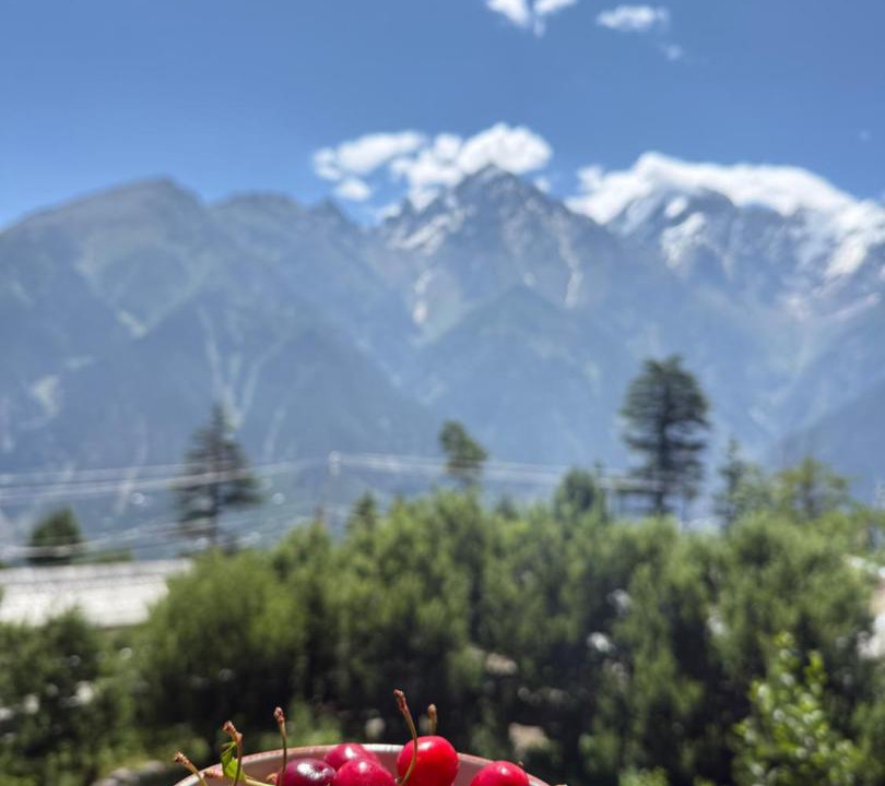 Photo of Others in Kalpa